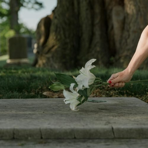 A solemn moment of placing white lilies on a cemetery gravestone, symbolizing loss and remembrance.